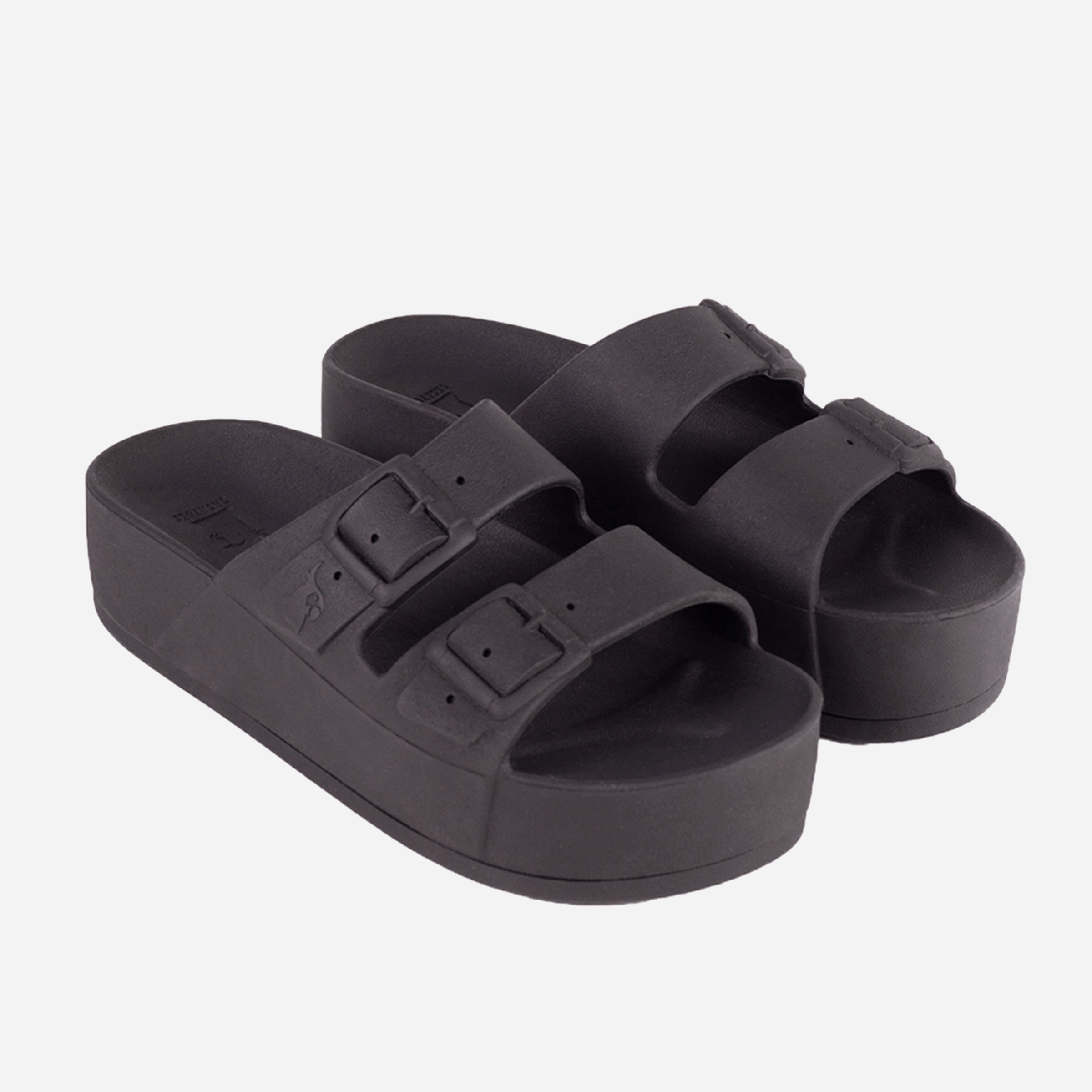 Cacatoès Caipirinha Slides