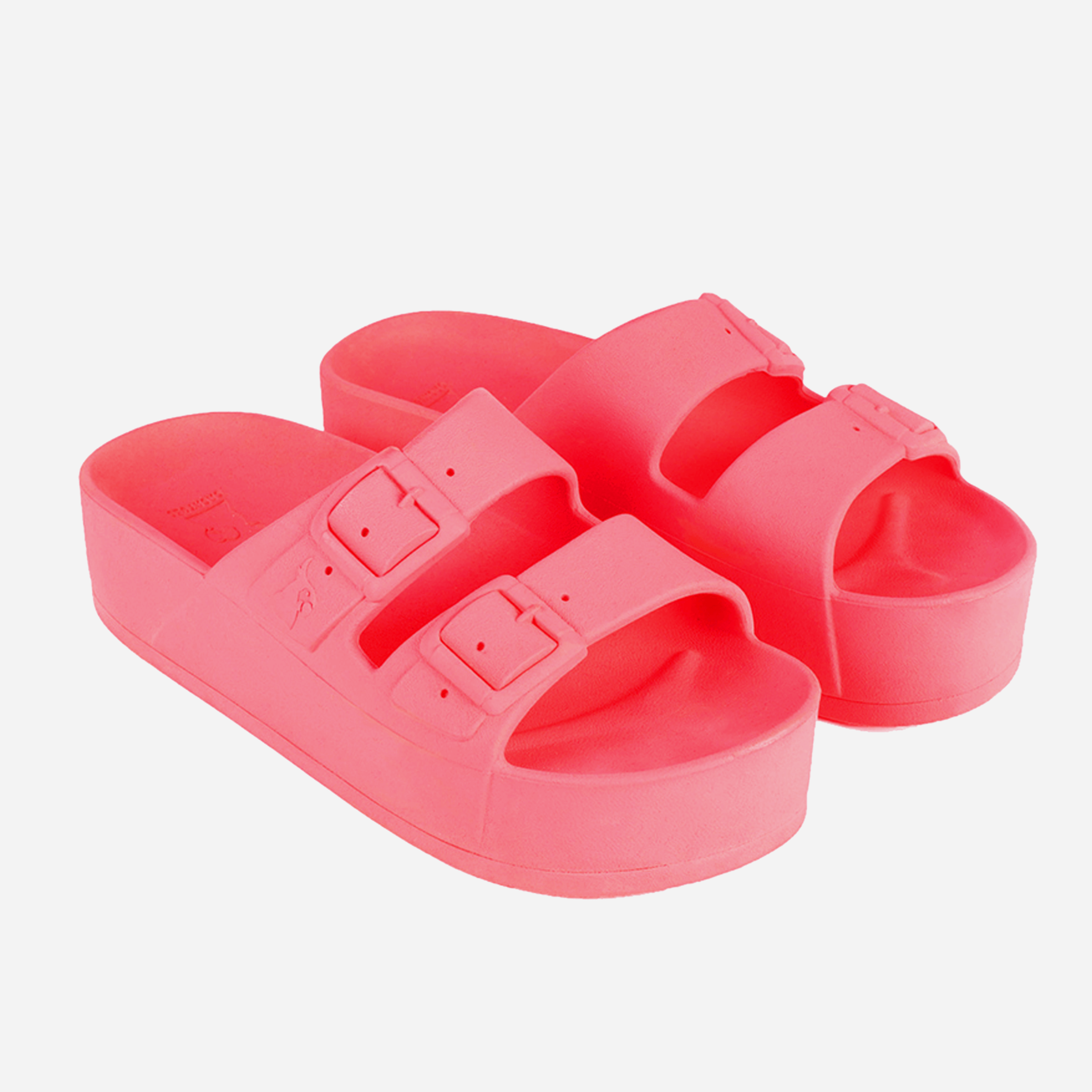 Cacatoès Caipirinha Slides