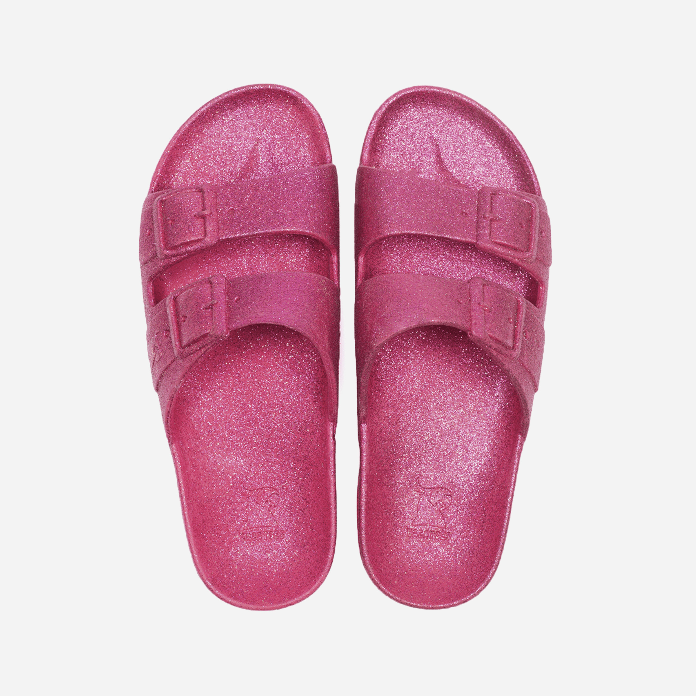 Cacatoès Carioca Slides
