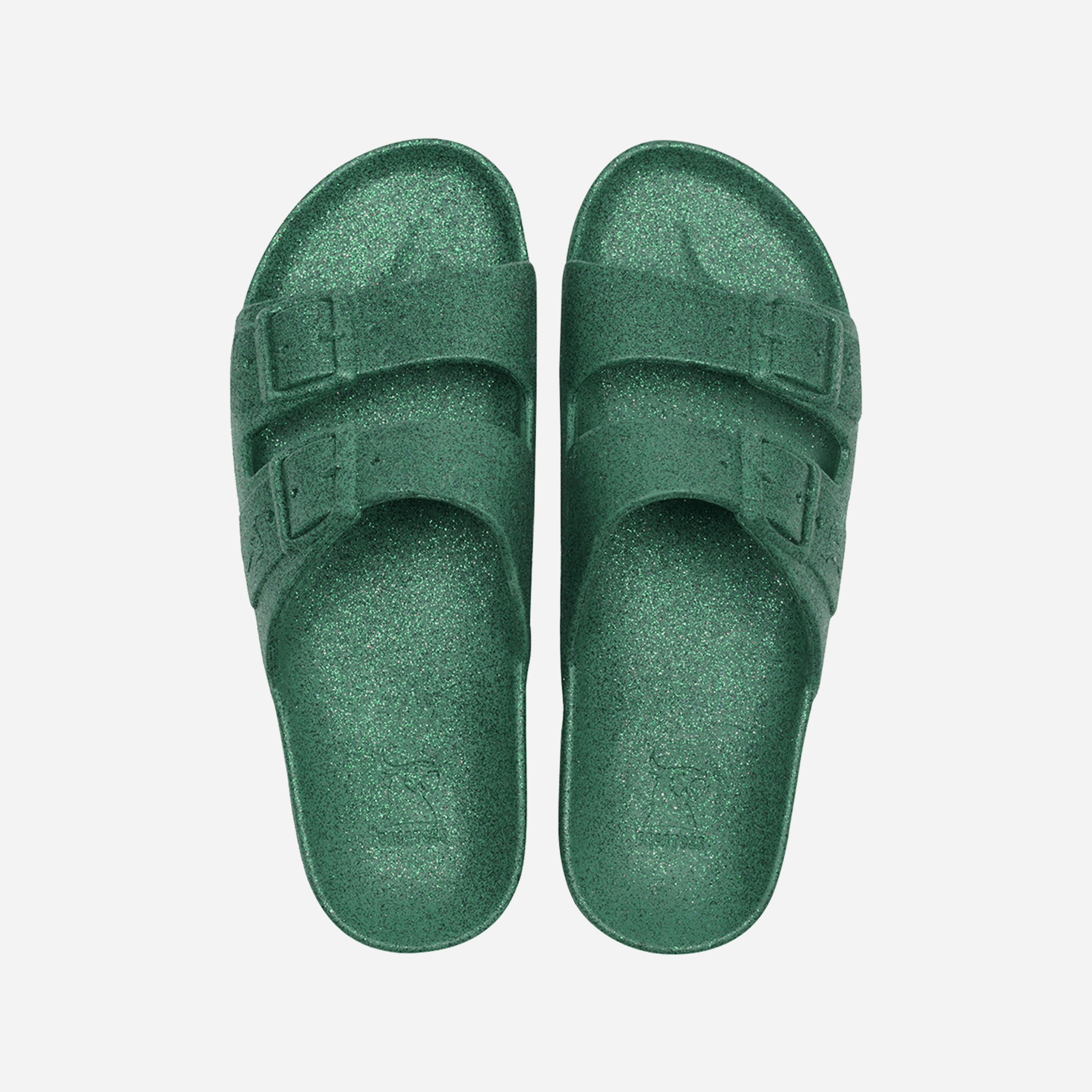 Cacatoès Carioca Slides