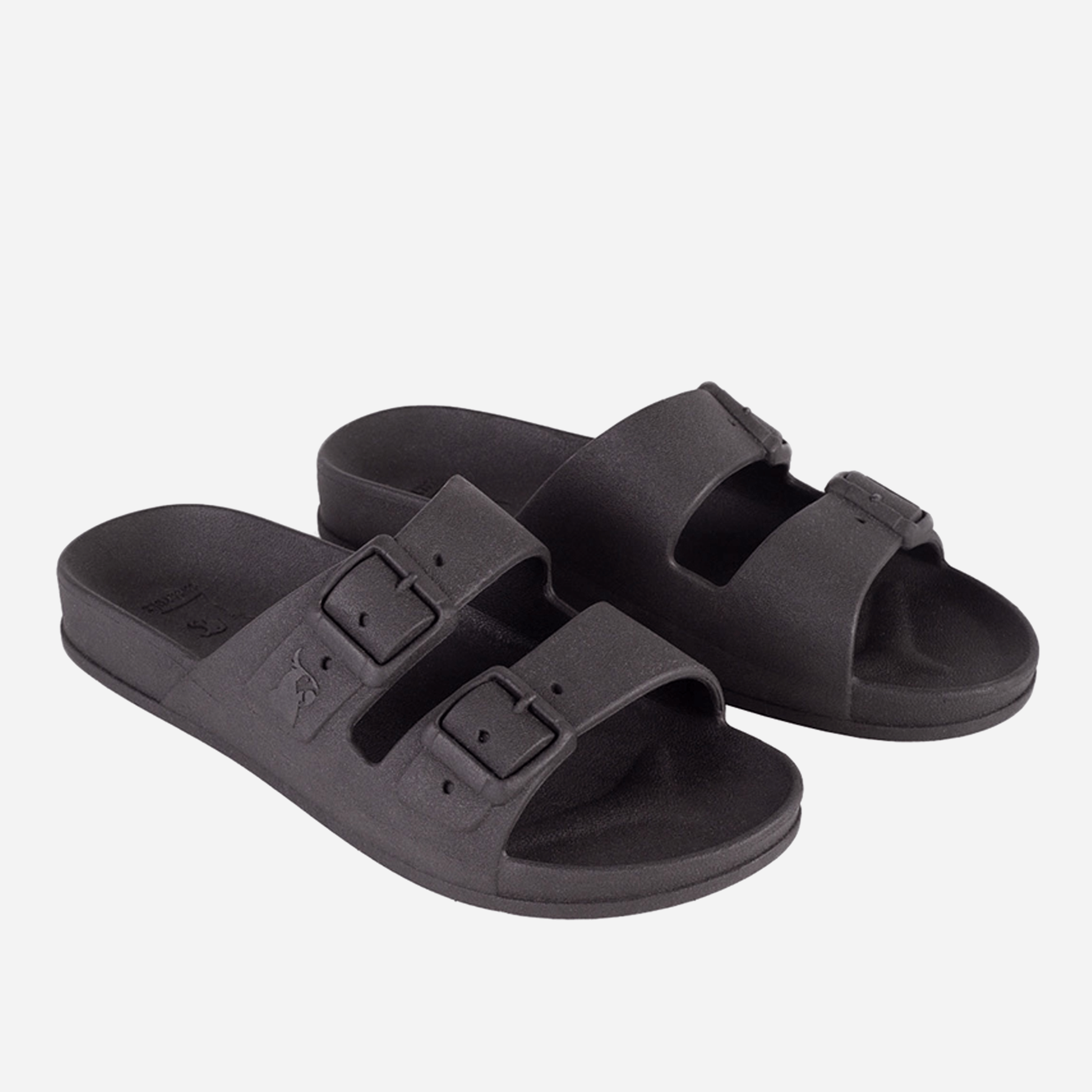 Cacatoès Rio De Janeiro Slides