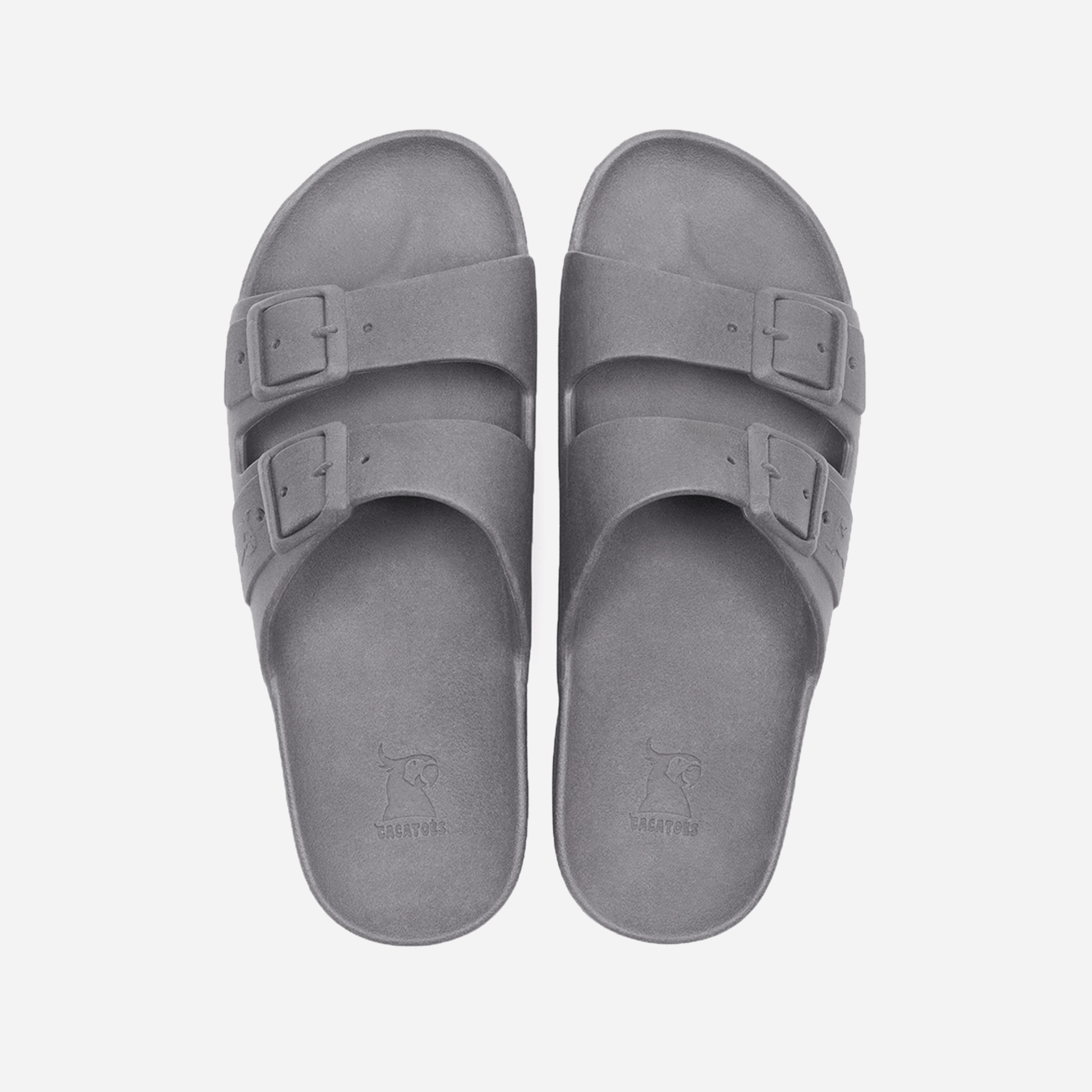 Cacatoès Rio De Janeiro Slides