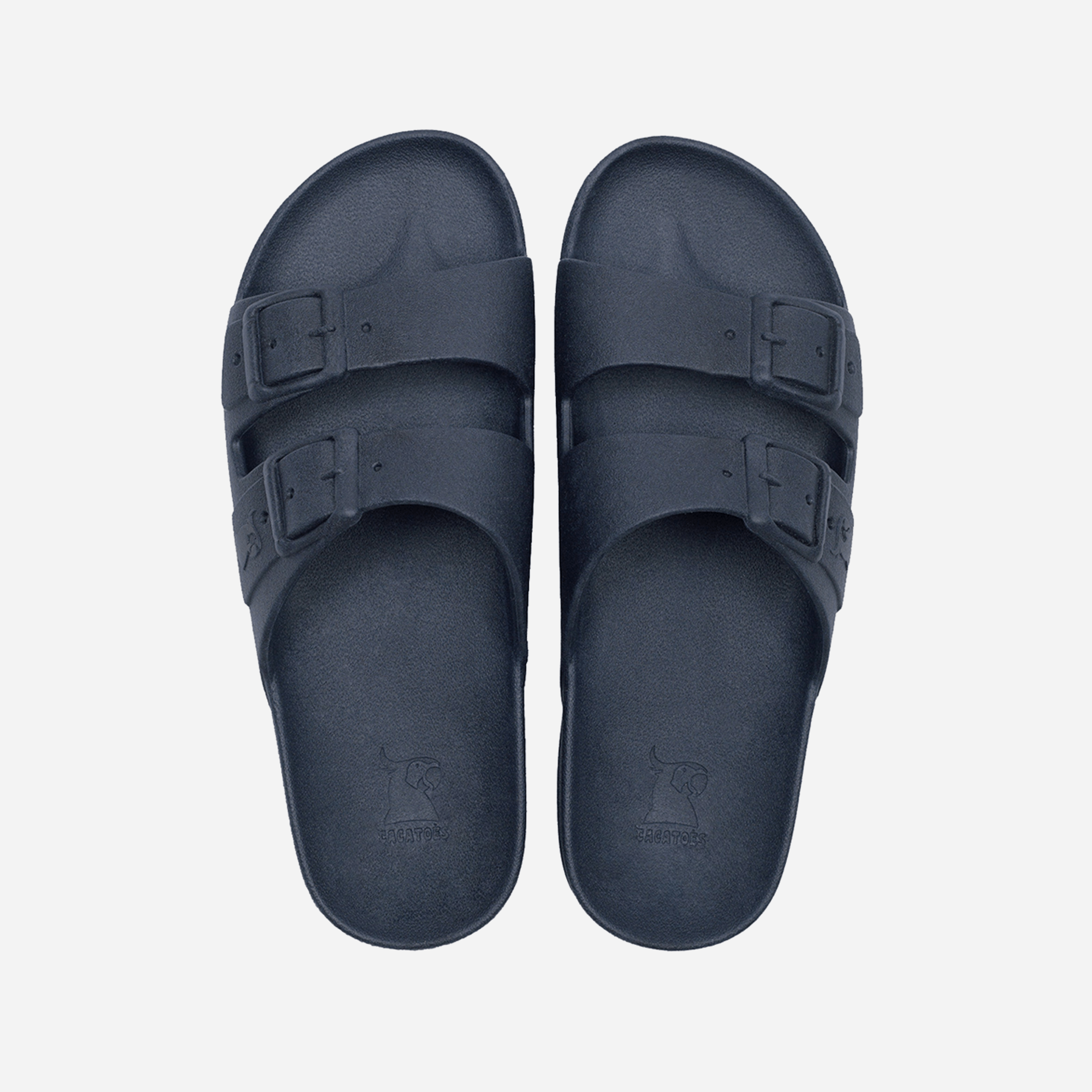 Cacatoès Rio De Janeiro Slides