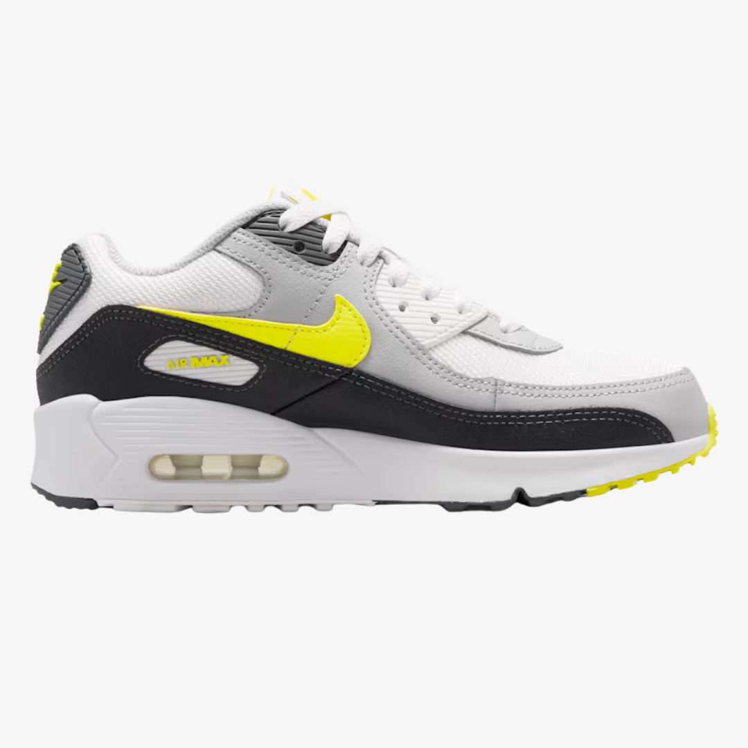 Nike Air Max 90 Mesh Baskets