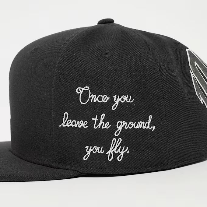 Nike Jordan Pro Casquette