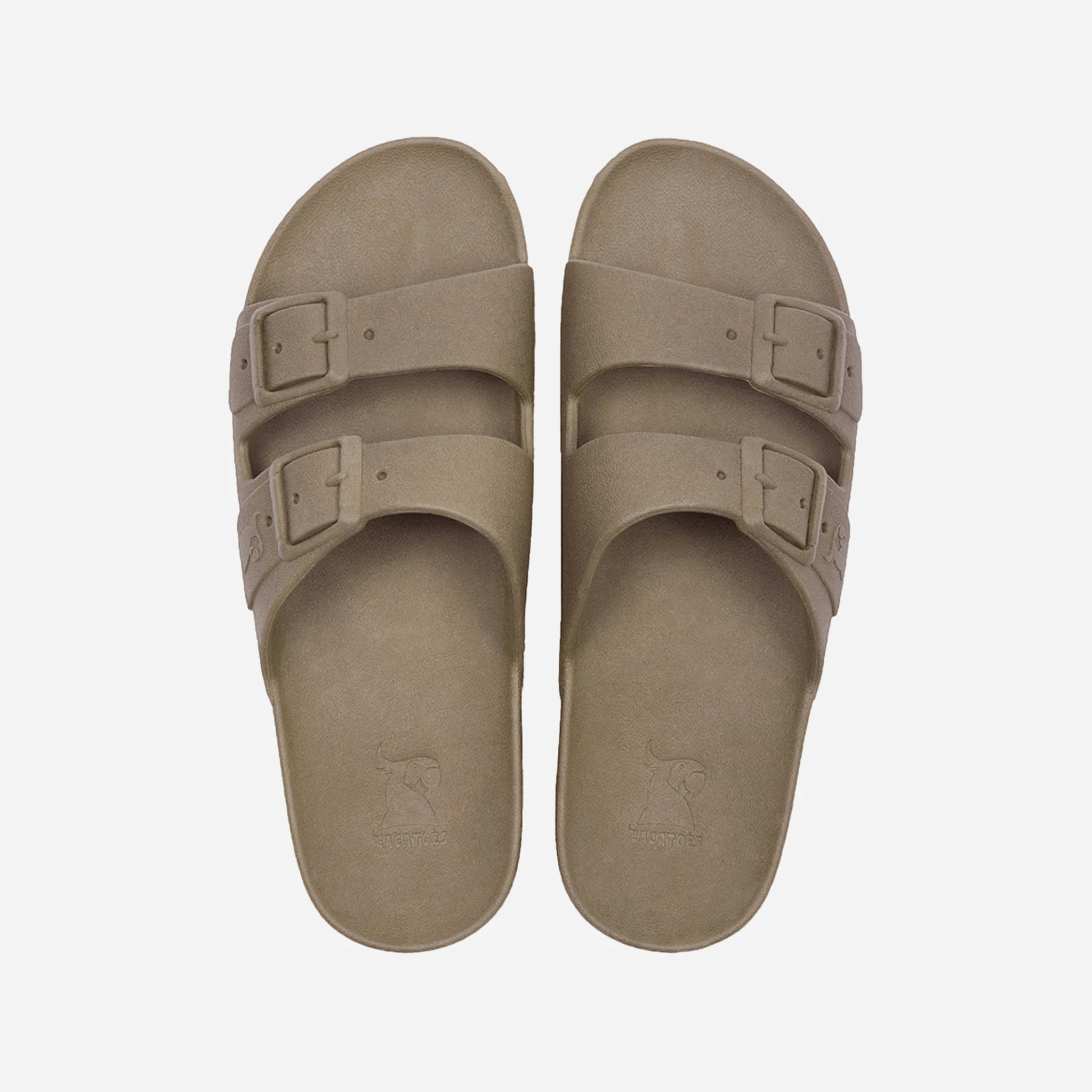 Cacatoès Rio De Janeiro Slides by CACATOES