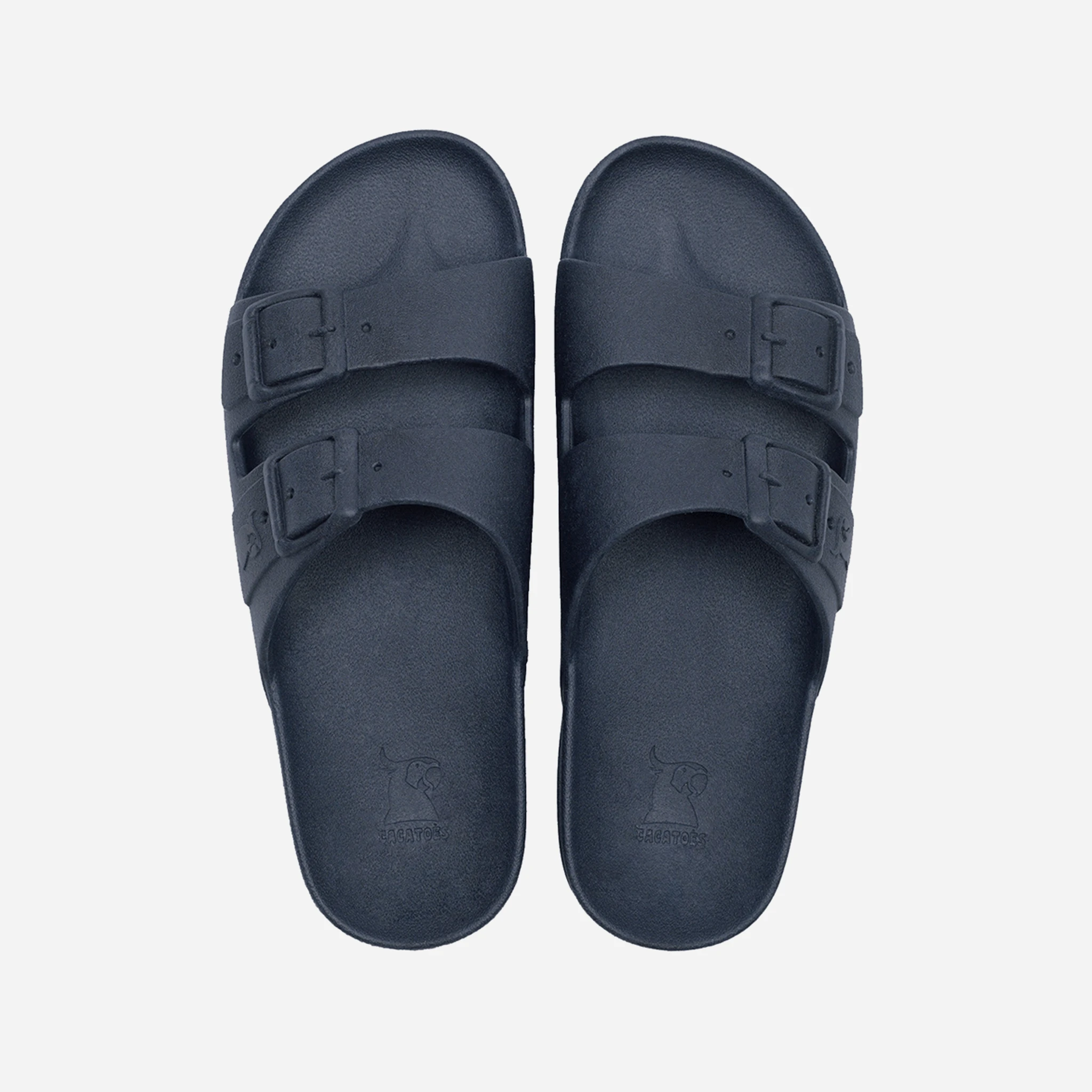 Cacatoès Rio De Janeiro Slides by CACATOES