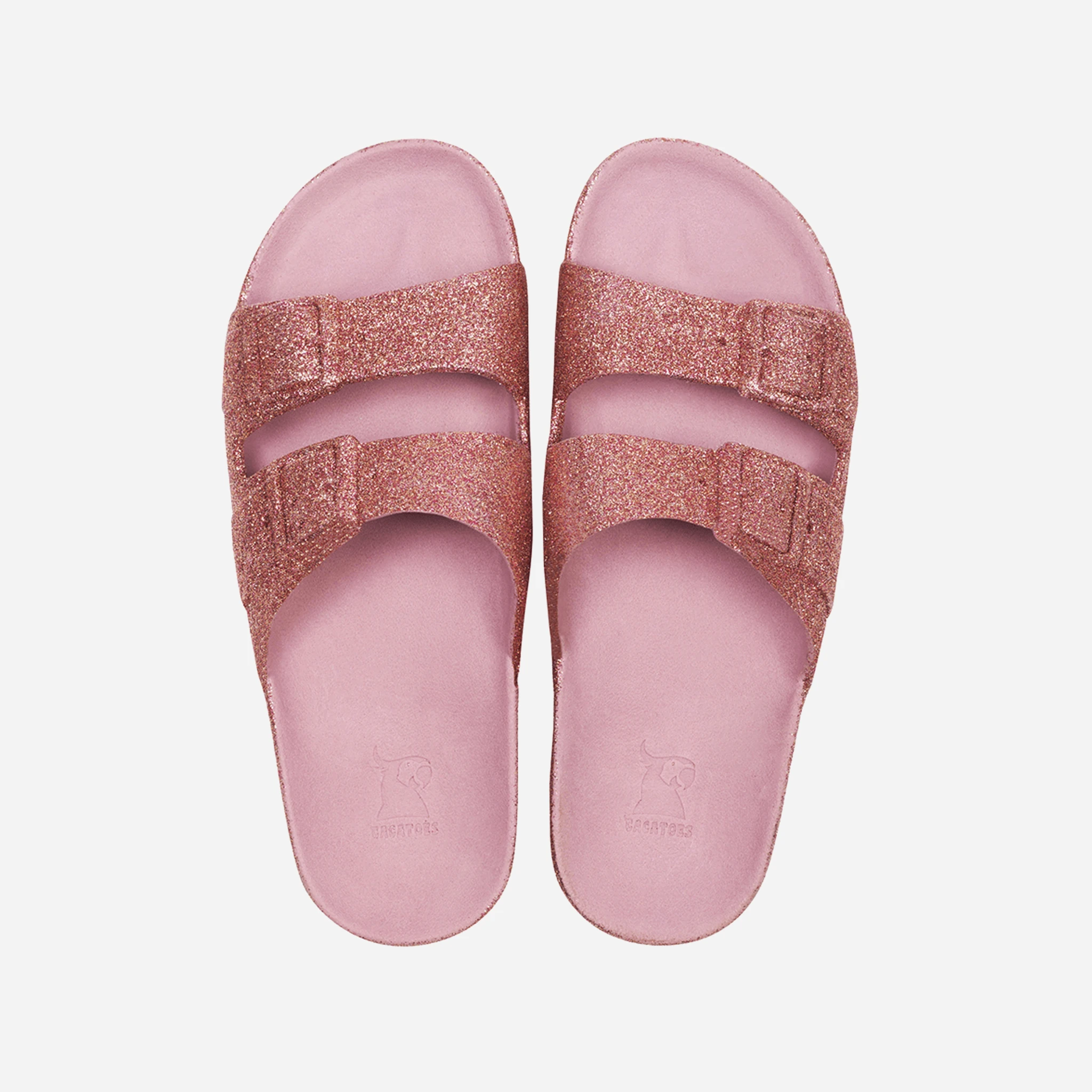 Cacatoès Trancoso Slides by CACATOES